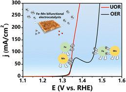 Graphical abstract: Superimposed OER and UOR performances by the interaction of each component in an Fe–Mn electrocatalyst