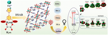 Graphical abstract: A butterfly shaped Eu4(OH)2 cluster-based luminescent metal–organic framework with Lewis basic triazole sites demonstrating turn off sensing in the presence of organic amines
