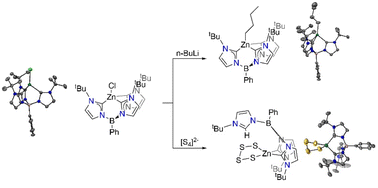 Graphical abstract: Synthesis and reactivity of a tris(carbene) zinc chloride complex