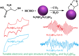 Graphical abstract: Regulating the electronic and spin structure of endohedral metallofullerenes: a case investigation of Sc3N@C80 and Sc3C2@C80