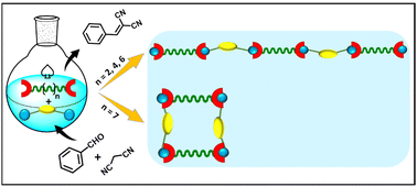 Graphical abstract: Effect of the flexible chain length of a dimetal subunit on the formation of 1D coordination polymers to molecular rectangles