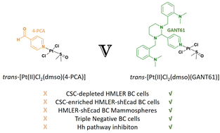 Graphical abstract: A trans-Pt(ii) hedgehog pathway inhibitor complex with cytotoxicity towards breast cancer stem cells and triple negative breast cancer cells