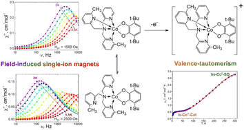 Graphical abstract: Magnetically bistable cobalt-dioxolene complexes with a tetradentate N-donor base