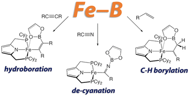 Graphical abstract: Insertion chemistry of iron(ii) boryl complexes