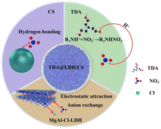 Graphical abstract: Synergistic effect of a triethanolamine-modified carbon-based layered double hydroxide for efficient removal of nitrate from micro-polluted water