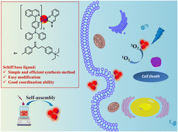 Graphical abstract: AIE-active Ir(iii) complexes functionalised with a cationic Schiff base ligand: synthesis, photophysical properties and applications in photodynamic therapy