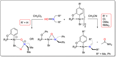 Graphical abstract: Reactivities of cyclonickellated complexes with hydroxylamines: formation of κO-hydroxylamine and κN-imine adducts and a κO, κN-aminoxide derivative