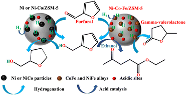 Graphical abstract: Alloying nickel and cobalt with iron on ZSM-5 for tuning competitive hydrogenation reactions for selective one-pot conversion of furfural to gamma-valerolactone