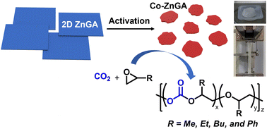 Graphical abstract: Surface activated zinc-glutarate for the copolymerization of CO2 and epoxides