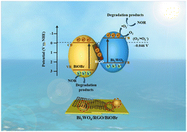 Graphical abstract: High performance visible light response of a Z-type Bi2WO6/BiOBr/RGO heterojunction photocatalyst for the degradation of norfloxacin