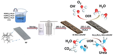 Graphical abstract: Ni3S2/MxSy–NiCo LDH (M = Cu, Fe, V, Ce, Bi) heterostructure nanosheet arrays on Ni foam as high-efficiency electrocatalyst for electrocatalytic overall water splitting and urea splitting