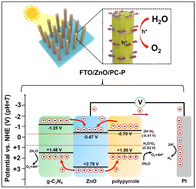 Graphical abstract: Hydrophilic polypyrrole and g-C3N4 co-decorated ZnO nanorod arrays for stable and efficient photoelectrochemical water splitting