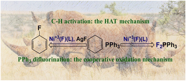 Graphical abstract: Theoretical investigation on the elusive structure–activity relationship of bioinspired high-valence nickel–halogen complexes in oxidative fluorination reactions