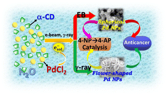 Graphical abstract: Solvated electron-induced synthesis of cyclodextrin-coated Pd nanoparticles: mechanistic, catalytic, and anticancer studies