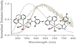 Graphical abstract: Synthesis and the photophysical and biological properties of tricarbonyl Re(i) diimine complexes bound to thiotetrazolato ligands