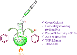 Graphical abstract: Bio-inspired Cu(ii) amido-quinoline complexes as catalysts for aromatic C–H bond hydroxylation