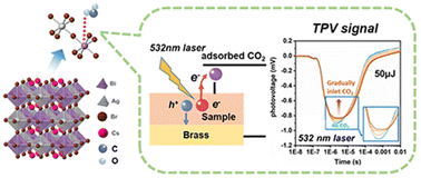 Graphical abstract: Photogenerated carrier behavior at a gas–solid interface for CO2 adsorption on Cs2AgBiBr6 nanocrystals