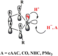 Graphical abstract: Five-membered N-heterocyclic beryllium(i) compounds: fluctuating electronic structures with ambiphilic reactivity