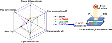 Graphical abstract: Band gap and defect engineering of bismuth vanadate using La, Ce, Zr dopants to obtain a photoelectrochemical system for ultra-sensitive detection of glucose in blood serum