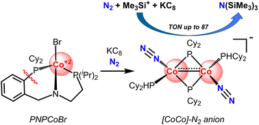 Graphical abstract: Dinitrogen activation by a phosphido-bridged binuclear cobalt complex