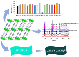 Graphical abstract: Selective recognition of Hg2+ ions in aqueous solution by a CdII-based metal–organic framework with good stability and vacant coordination sites