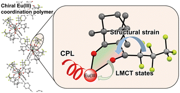 Graphical abstract: Enhanced circularly polarized luminescence of chiral Eu(iii) coordination polymers with structural strain