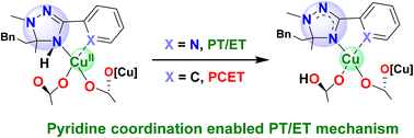 Graphical abstract: Pyridine coordination enabled stepwise PT/ET N–H transfer and metal-independent C–C cleavage mechanism for Cu-mediated dehydroacylation of unstrained ketones