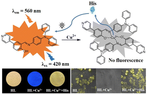 Graphical abstract: AIE -active TPA modified Schiff base for successive sensing of Cu2+ and His via an on–off–on method and its application in bioimaging