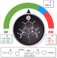 Graphical abstract: Pyridine modifications regulate the electronics and reactivity of Fe–pyridinophane complexes