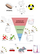 Graphical abstract: Novel candidate theranostic radiopharmaceutical based on strontium hexaferrite nanoparticles conjugated with azacrown ligand