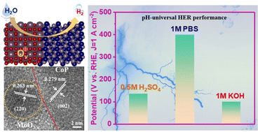 Graphical abstract: Coupled MoO3−x@CoP heterostructure as a pH-universal electrode for hydrogen generation at a high current density