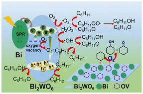 Graphical abstract: Construction of Bi2WO6 with double active sites of tunable metallic Bi and oxygen vacancies for photocatalytic oxidation of cyclohexane to cyclohexanone