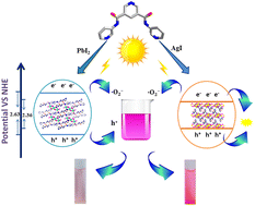 Graphical abstract: Photocatalytic properties of iodometallates with in situ-generated organic bases as countercations