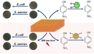 Graphical abstract: AgPd nanocages sandwiched between a MXene nanosheet and PDA layer for photothermally improved catalytic activity and antibacterial properties