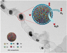 Graphical abstract: High entropy alloy nanoparticles encapsulated in graphitised hollow carbon tubes for oxygen reduction electrocatalysis