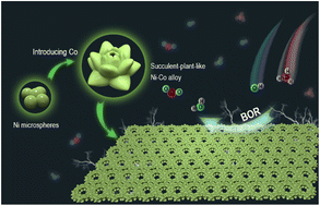 Graphical abstract: Succulent-plant-like Ni–Co alloy efficient catalysts for direct borohydride fuel cells