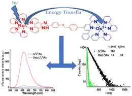 Graphical abstract: Effect of electronic structure of energy transfer in bimetallic Ru(ii)/Os(ii) complexes