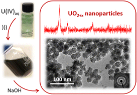 Graphical abstract: Ultrasonically controlled synthesis of UO2+x colloidal nanoparticles