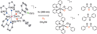 Graphical abstract: Light-induced O2-dependent aliphatic carbon–carbon (C–C) bond cleavage in bipyridine-ligated Co(ii) chlorodiketonate complexes