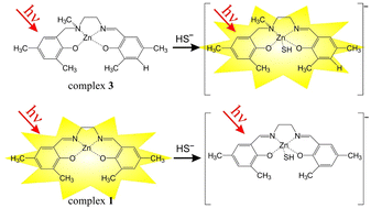 Graphical abstract: Salen, salan and salalen zinc(ii) complexes in the interaction with HS−: time-resolved fluorescence applications