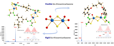 Graphical abstract: Tuning the nuclearity of [Mo2O2S2]2+-based assemblies by playing with the degree of flexibility of bis-thiosemicarbazone ligands
