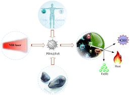 Graphical abstract: A bioinspired polydopamine–FeS nanocomposite with high antimicrobial efficiency via NIR-mediated Fenton reaction