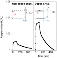 Graphical abstract: Acceleration of NO2 gas sensitivity in two-dimensional SnSe2 by Br doping