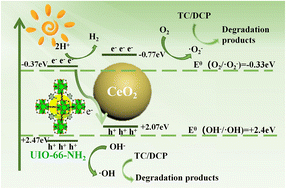 Graphical abstract: Construction of a direct Z-scheme CeO2/UiO-66-NH2 heterojunction for boosting photocatalytic organic pollutant degradation and H2 evolution performance