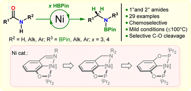 Graphical abstract: Synthesis and catalytic performance of nickel phosphinite pincer complexes in deoxygenative hydroboration of amides