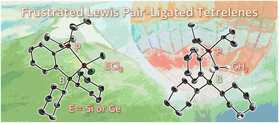 Graphical abstract: Frustrated Lewis pair-ligated tetrelenes