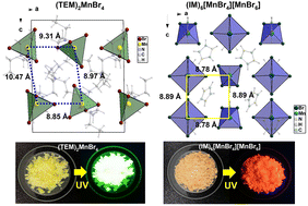 Graphical abstract: Long-lived spin-triplet excitons in manganese complexes for room-temperature phosphorescence