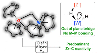 Graphical abstract: Tweaking the bridge in metallocene Zr(iv)/W(iv) bimetallic hydrides