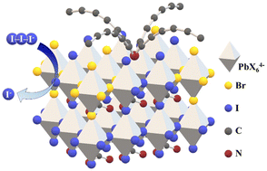 Graphical abstract: Surfactant effects on electrochemically durable lead halide perovskite electro-catalysts