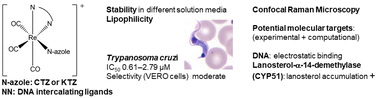 Graphical abstract: Multifunctional organometallic compounds for the treatment of Chagas disease: Re(i) tricarbonyl compounds with two different bioactive ligands